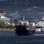 King Island customers give Bass Island Line thumbs up